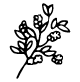 Erba medica
