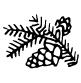 Melata (bosco)