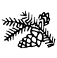 Melata di abete