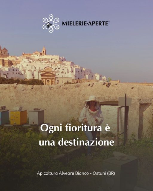 🐝 𝐀𝐩𝐢 𝐍𝐨𝐦𝐚𝐝𝐢

Ci sono notti in cui le api viaggiano.
Arnie cariche di ronzio si spostano seguendo un'articolata mappa di fioriture.
Acacia. Castagno. Sulla. Tiglio.

𝐎𝐠𝐧𝐢 𝐟𝐢𝐨𝐫𝐢𝐭𝐮𝐫𝐚 𝐞̀ 𝐮𝐧𝐚 𝐝𝐞𝐬𝐭𝐢𝐧𝐚𝐳𝐢𝐨𝐧𝐞.

Apicoltrici e apicoltori si spostano di notte e aspettano l’alba per permettere alle api di arricchire le loro scorte e i nostri palati.

𝐈𝐥 𝟏𝟕 𝐦𝐚𝐠𝐠𝐢𝐨 𝐩𝐨𝐭𝐫𝐚𝐢 𝐬𝐚𝐩𝐞𝐫𝐧𝐞 𝐝𝐢 𝐩𝐢𝐮̀.

👉 𝐒𝐜𝐨𝐩𝐫𝐢 𝐜𝐨𝐦𝐞 𝐫𝐚𝐠𝐠𝐢𝐮𝐧𝐠𝐞𝐫𝐞 𝐥𝐞 𝐌𝐢𝐞𝐥𝐞𝐫𝐢𝐞 𝐞 𝐩𝐢𝐚𝐧𝐢𝐟𝐢𝐜𝐚 𝐢𝐥 𝐭𝐮𝐨 𝐯𝐢𝐚𝐠𝐠𝐢𝐨 - 𝐋𝐈𝐍𝐊 𝐈𝐍 𝐁𝐈𝐎

Mielerie Aperte è un progetto @unaapi_  cofinanziato dall'Unione Europea e dal MASAF

#MielerieAperte #ProdottiDellAlveare #eventi #natura #apicoltura #api #miele #17maggio
