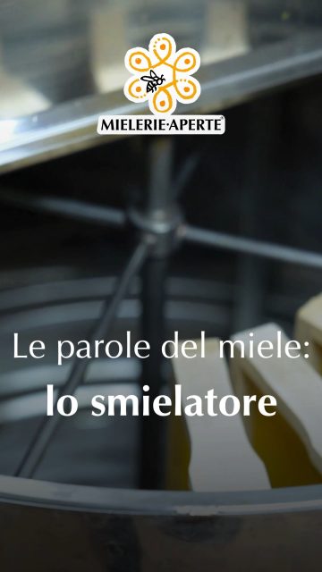 𝐀𝐦𝐢 𝐢𝐥 𝐦𝐢𝐞𝐥𝐞 𝐢𝐧 𝐯𝐚𝐬𝐞𝐭𝐭𝐨? 🍯
𝐚𝐥𝐥𝐨𝐫𝐚 𝐭𝐢 𝐩𝐫𝐞𝐬𝐞𝐧𝐭𝐢𝐚𝐦𝐨 𝐮𝐧 𝐚𝐦𝐢𝐜𝐨!

Il formaggio non lo fa la mucca, il vino non cresce sulla vigna. 
E il miele? Tra le api e il tuo cucchiaino c’è il lavoro delle mielerie...
e di uno strumento molto particolare: lo smielatore!

Immagina di degustare sempre il miele dalle celle in cera in cui le api lo hanno immagazzinato, in questo caso addio vasetti e cucchiaiate di miele.

Ma grazie allo smielatore, la centrifuga usata per estrarre i mieli dai favi, i più golosi possono godere di tutta l'intensità del miele senza preoccuparsi della cera.
E sorpresa! I favi restano integri per essere riutilizzati!

𝐈𝐥 𝟏𝟕 𝐦𝐚𝐠𝐠𝐢𝐨 entra in Mieleria e guarda con i tuoi occhi come nasce il miele.
👉 Scopri tutti gli apicoltori e le apicoltrici aderenti all'iniziativa e pianifica il tuo viaggio: 𝐋𝐈𝐍𝐊 𝐈𝐍 𝐁𝐈𝐎

Mielerie Aperte è un progetto @unaapi_  cofinanziato dall'Unione Europea e dal MASAF

#MielerieAperte #ProdottiDellAlveare #eventi #natura #apicoltura #api #miele #smielatura #miele