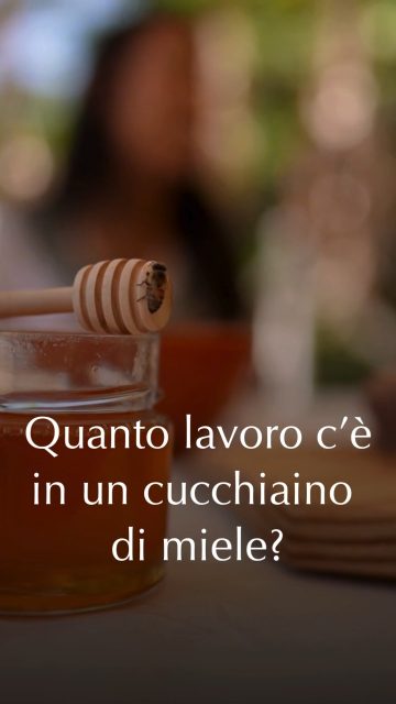 🍯🐝 𝐐𝐮𝐚𝐧𝐭𝐨 𝐥𝐚𝐯𝐨𝐫𝐨 𝐜’𝐞̀ 𝐢𝐧 𝐮𝐧 𝐜𝐮𝐜𝐜𝐡𝐢𝐚𝐢𝐧𝐨 𝐝𝐢 𝐦𝐢𝐞𝐥𝐞?
Un’ape, in un solo volo, visita circa 𝟓𝟎–𝟏𝟎𝟎 𝐟𝐢𝐨𝐫𝐢, a seconda del tipo di fiore e della quantità di nettare presente.
In una giornata può arrivare a visitare migliaia di fiori, con alcune stime che arrivano 𝐟𝐢𝐧𝐨 𝐚 𝐜𝐢𝐫𝐜𝐚 𝟕.𝟎𝟎𝟎.

𝐌𝐚 𝐧𝐨𝐧 𝐛𝐚𝐬𝐭𝐚.
Per produrre 1 kg di miele servono milioni di visite ai fiori, con stime che vanno da circa 2,7 a 4 milioni di fiori visitati in totale🌼
E una singola ape, in tutta la sua vita, produce solo una piccola frazione di un singolo cucchiaino di miele.

Ora fermati un attimo.

𝐐𝐮𝐞𝐥 𝐛𝐚𝐫𝐚𝐭𝐭𝐨𝐥𝐨 𝐜𝐡𝐞 𝐭𝐢𝐞𝐧𝐢 𝐢𝐧 𝐦𝐚𝐧𝐨 𝐧𝐨𝐧 𝐞̀ 𝐬𝐨𝐥𝐨 𝐦𝐢𝐞𝐥𝐞.

È il risultato di milioni di visite, migliaia di voli e di un lavoro collettivo perfetto.
Un equilibrio fragile, preciso, straordinario.

𝐈𝐥 𝟏𝟕 𝐦𝐚𝐠𝐠𝐢𝐨 𝐩𝐨𝐭𝐫𝐚𝐢 𝐯𝐞𝐝𝐞𝐫𝐥𝐨 𝐝𝐚 𝐯𝐢𝐜𝐢𝐧𝐨: hai l’opportunità di incontrare le api, conoscere i prodotti dell’alveare e i loro custodi.
Capire come nasce davvero il miele cambia il modo di assaggiarlo.

👉 Scopri gli apicoltori e le apicoltrici che ti accoglieranno e pianifica il tuo viaggio: 𝐋𝐈𝐍𝐊 𝐈𝐍 𝐁𝐈𝐎

Mielerie Aperte è un progetto @unaapi_  cofinanziato dall'Unione Europea e dal MASAF