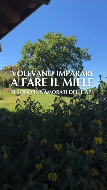 Volevano imparare a fare il miele. Si sono innamorati delle api.
Alunni di un corso di apicoltura, sotto la quercia di una Mieleria -@querciamadre - sono arrivati con un'idea semplice: imparare a produrre miele. 

Poi hanno aperto un alveare.

La perfezione. L'organizzazione. Migliaia di esseri che sanno esattamente cosa fare e perché.

Qualcuno ha riso della poca cura con cui sceglieva il miele prima. Qualcun altro ha smesso di parlare e si è messo ad ascoltare.

Succede questo, quando ti avvicini alle api. Non impari solo un mestiere. Ti riconnetti a qualcosa che avevi dimenticato.

📍📅 𝐈𝐥 𝟏𝟕 𝐦𝐚𝐠𝐠𝐢𝐨 𝐥𝐞 𝐌𝐢𝐞𝐥𝐞𝐫𝐢𝐞 𝐚𝐩𝐫𝐨𝐧𝐨.
𝐒𝐜𝐞𝐠𝐥𝐢𝐧𝐞 𝐮𝐧𝐚. 𝐄 𝐥𝐚𝐬𝐜𝐢𝐚𝐭𝐢 𝐬𝐨𝐫𝐩𝐫𝐞𝐧𝐝𝐞𝐫𝐞.
LINK IN BIO

Mielerie Aperte è un progetto UNAAPI cofinanziato dall'Unione Europea e dal MASAF
 
#miele #unaapi #mielerieaperte #17maggio #eventi #gusto #dolcegusto #tourlife #saporiautentici #gitefuoriporta #apicoltura