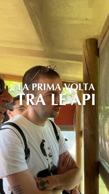 𝐎𝐠𝐠𝐢 𝐞̀ 𝐥𝐚 𝐆𝐢𝐨𝐫𝐧𝐚𝐭𝐚 𝐌𝐨𝐧𝐝𝐢𝐚𝐥𝐞 𝐝𝐞𝐥𝐥𝐞 𝐀𝐩𝐢.

E forse il modo più onesto per celebrarla è ascoltare chi le ha incontrate per la prima volta.
Tre persone, una stessa scoperta inattesa: pensi di entrare in Mieleria per vedere le api, poi capisci che le api stanno raccontando qualcosa di te. Il modo in cui lavorano insieme. Il modo in cui dipendono dalla natura. Il modo in cui costruiscono.

La prima volta tra le api non è una visita. È uno specchio. 🐝

Mielerie Aperte è un progetto UNAAPI cofinanziato dall'Unione Europea e dal MASAF.

Un ringraziamento alla Mieleria Azienda Agricola Polyagrinova e a chi ci ha regalato la propria testimonianza.

#unaapi #mielerieaperte #miele  #prodottidellalveare #apicoltura #biodiversità #worldbeeday2026