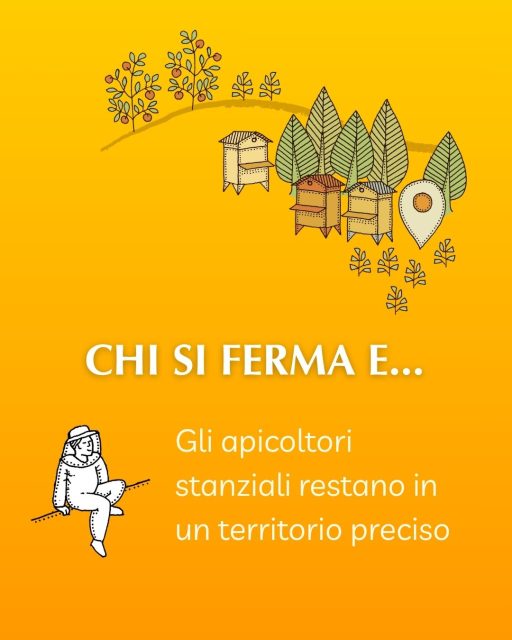 𝐄𝐬𝐢𝐬𝐭𝐨𝐧𝐨 𝐦𝐨𝐥𝐭𝐢 𝐭𝐢𝐩𝐢 𝐝𝐢 𝐚𝐩𝐢𝐜𝐨𝐥𝐭𝐮𝐫𝐚: tradizionale o biologica, stanziale o nomade. 🐝

Ogni azienda apistica ha la sua specificità, così come ogni miele ha caratteristiche uniche e ben precise.

𝐌𝐢𝐞𝐥𝐞𝐫𝐢𝐞 𝐀𝐩𝐞𝐫𝐭𝐞 è la rete di luoghi e momenti in cui scoprire cosa si nasconde dietro un mestiere antico ma in continua evoluzione, che ti invita a gustare, osservare e vivere in equilibrio con le fioriture e i ritmi della natura.

Il dialogo tra te, le api e ciò che di prezioso sanno regalarci inizia da qui, dalle parole di chi vive con loro, stagione dopo stagione. 🍯

📅 𝐓𝐢 𝐚𝐬𝐩𝐞𝐭𝐭𝐢𝐚𝐦𝐨 𝐢𝐥 𝟏𝟓 𝐧𝐨𝐯𝐞𝐦𝐛𝐫𝐞 𝐜𝐨𝐧 𝐥𝐚 𝐆𝐢𝐨𝐫𝐧𝐚𝐭𝐚 𝐝𝐢 𝐌𝐢𝐞𝐥𝐞𝐫𝐢𝐞 𝐀𝐩𝐞𝐫𝐭𝐞!
Scegli quale Mieleria raggiungere: trovi la mappa nel link in bio 👆

Mielerie Aperte è un progetto UNAAPI cofinanziato dall'Unione Europea e dal MASAF.

#mielerieaperte #apicoltura #miele #api #apicoltura #mielelocale #15novembre #saporinaturali #viviinequilibrio